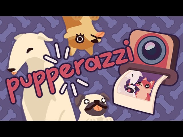 Pupperazzi - Cute dog's everywhere! Part 1 of 3