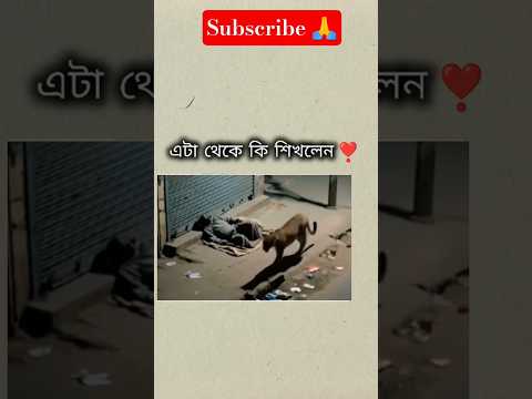এটা থেকে কি শিখলেন ।। #life #সব #lyrics #lyricvideo #lyricsstatus #caption  আপনারাই কমেন্ট করেন।।