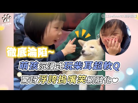 【萌孩沉浸式玩柴耳超軟Q 驚訝浮誇摀嘴笑網融化❤】｜IG / 11beiban02 / noisy_lucy
