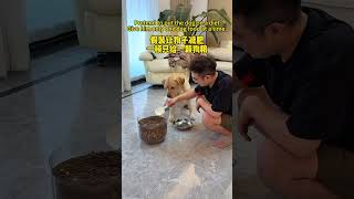 【旺仔很忙🐶wangzai is busy】当主人熟睡时遇到危险Does a dog duck when in danger while its owner is asleep?