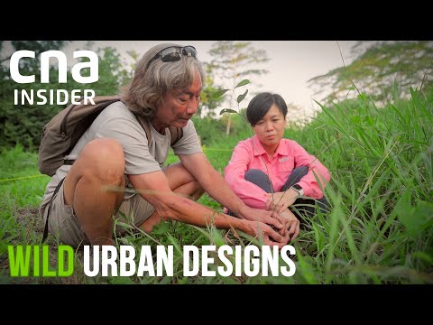 YouTube video thumbnail: Rewilding Singapore With Wilder, More Diverse Habitats