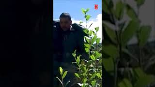 यात्रा सतोपंथ स्वर्गारोहिणी _ पतली पगडंडी पर केवल एक बार में एक ही यात्री चल सकता है