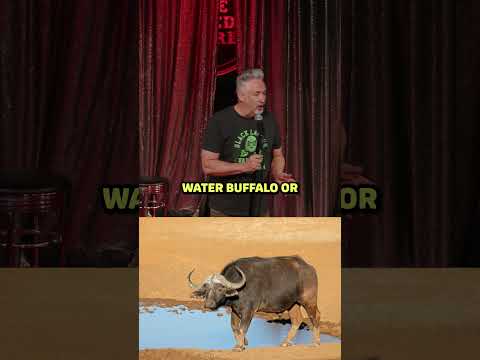 The hunter and the prey! #standupcomedy #comedyclips #funnyclips #standup