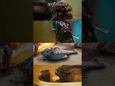 Las Derrotas De Piraña #cine #top #peliculas #curiosidades #movies