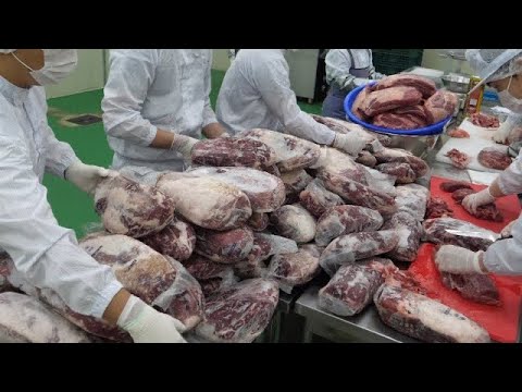 압도적입니다! 스테이크 공장의 수비드 스테이크 대량 생산 과정 Korean steak factory's beef steak and pork steak mass production