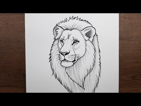 Adım adım aslan resmi çizimi - Karakalem ile aslan resmi nasıl çizilir
