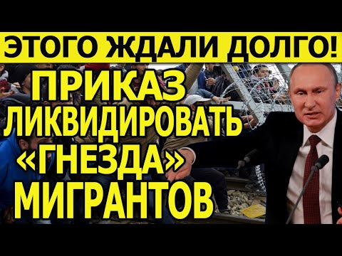 СРОЧНО! ЭТОГО ЖДАЛИ ДОЛГО! ПУТИН ПРИКАЗАЛ ЛИКВИДИРОВАТЬ «ГНЕЗДА» МИГРАНТОВ! «Надо защитить русских!»