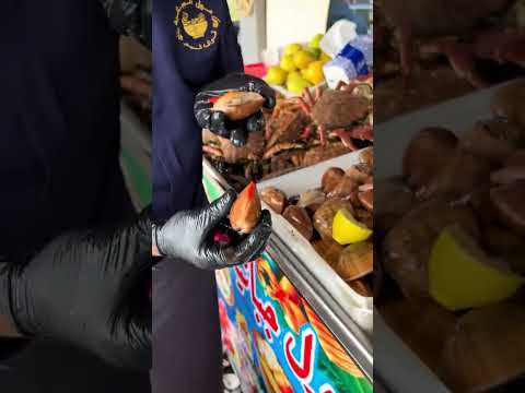 ‏المعلومات عند أحمد￼ مول￼ الجبانية ‏مرحبا بالجميع أينما كنتم 👌❤️🦪🦀￼￼