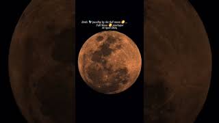 Full Moon 🌕.. Birds passing by on 1st April 2026 #fullmoon #moon #india #seestars50 #telescope #moon