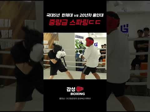 한체대 vs 용인대 복싱 전설의 대결 (실제 스파링)