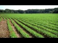 Exploring Career Opportunities in Agriculture