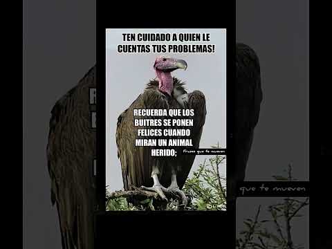 amor y reflexión hermosas  #amor   #shorts   #novios   #viral   #video   #short   #love