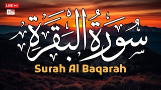 سورة البقرة كاملة مكررة بصوت رائع يأسر القلوب!لحفظ وتحصين المنزل من العين والحسد وجلب البركة Baqara