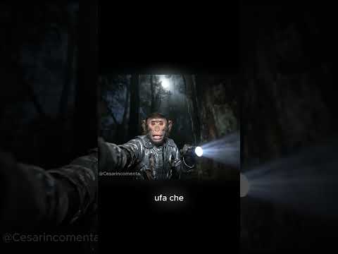 Caminando en BOSQUE en la NOCHE 😰😰😨🌳 #humor #terror #shorts #mono #ia #veo3