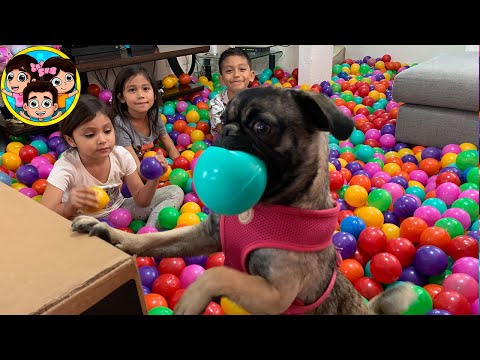 LLENAMOS NUESTRA CASA DE PELOTAS | Guzmancitos