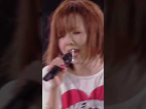 aiko「KissHug」（Love Like Aloha vol.3）#aiko #KissHug
