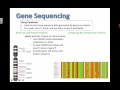 Bioinformatics and Genetic Analysis