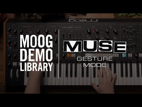 Muse | Gesture Mode