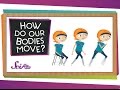 Exploring How Our Bodies Move