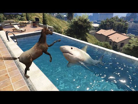 منافسة قوية بين الحصان وسمك القرش قراند 5 GTA V HORSE VS SHARK