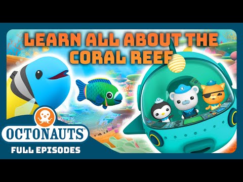 @Octonauts - 🌈 Colorful Underwater Sea Education! 🌊 | 1 Hours+ Full Episode Marathon