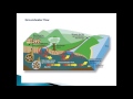 Groundwater Management Concepts