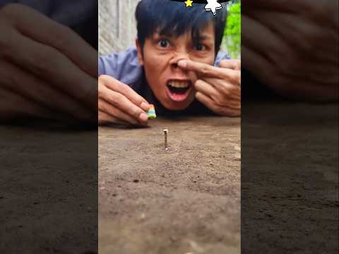 Excellent dance, welcoming the arrival of the millipede approaching the Chupa Chups candy #shorts