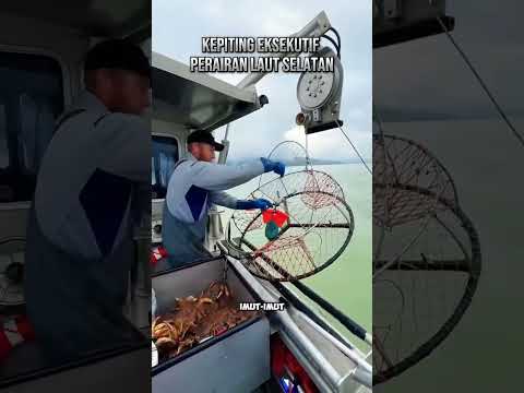 ♻️😂🔥ketika kepiting eksekutif perairan lautselatan diangkat#shortsfeed #fishing #viralvideo #mancing