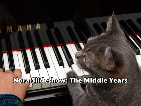 Nora Slideshow: The Middle Years