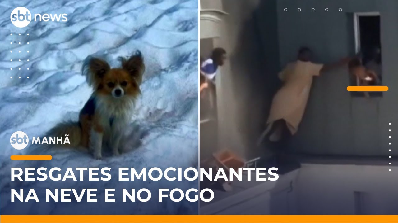 Chihuahua ajuda a salvar tutor em geleira e homem resgata família em incêndio | #SBTManhã