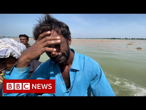 Pakistan floods: Time running out for families in Sindh – BBC News