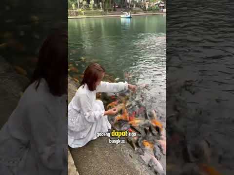 minivlog di kampung #mpoocha #minivlog