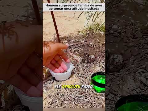 Ele ia passar por cima do ninho... Tccontos #shorts #animais #historiasdeanimais