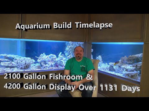 Aquarium Build Timelapse_ Fishroom and Display The video today is a timelapse of all the photos I have taken in the over 1131 days I took to build 