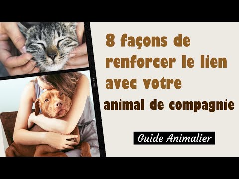 8 Façons de Renforcer le Lien avec votre Animal de Compagnie 🐶🐱🦜