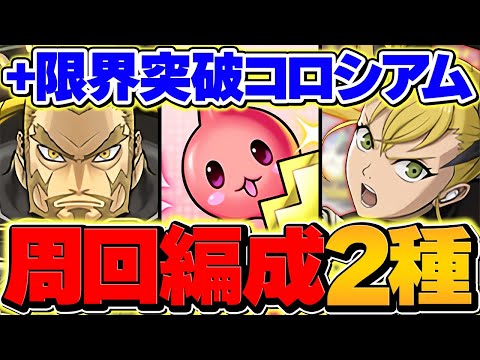 キコルで+891を作ろう！周回編成2パターン解説！1枚抜き対応！これが一番強いと思います！！【パズドラ】