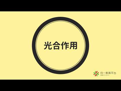 植物獲得養份 - YouTube