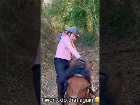 Harlow Almost fell!! This was long ago but still #horse #equestrian