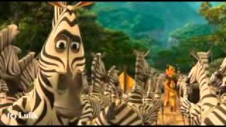 Animash - Nevzdávám se (Not giving up)