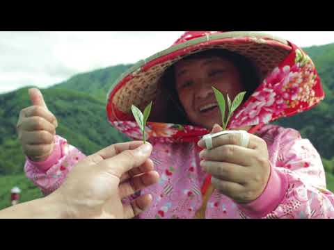 Touring Taiwan by Train- 3 Min