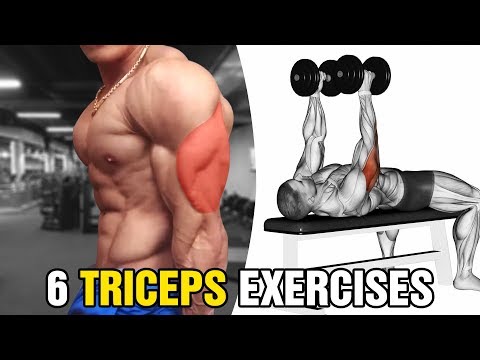6 Bài Tập Tay Sau Hiệu Quả Cho Người Mới Tập Thể Hình