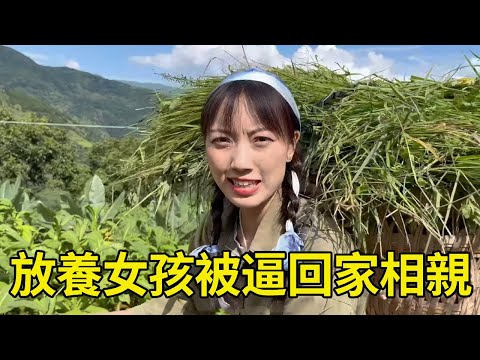 山間偶遇放羊美女，被母親逼回家相親，不看多有錢只看人品！ 【王一點】