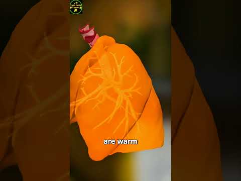 বীজ পেটে গিয়ে কি গাছ হয়ে যায় | Does a seed become a tree when it enters the stomach? #shortfeed