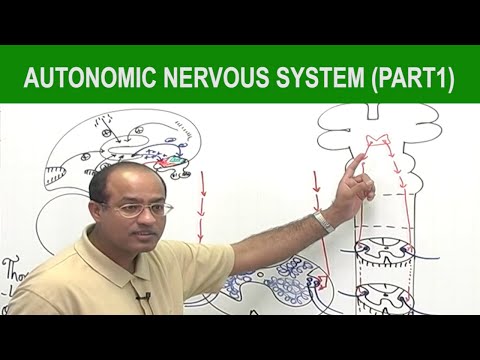 Dr Najeeb Lectures Free Download - BestOfCourses