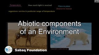 Abiotic components of an Environment