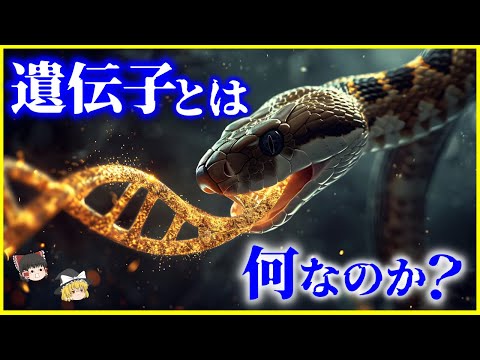 【ゆっくり解説】ヘビに足がない理由とは？「遺伝子」とは何なのか？を解説/進化と遺伝子の不思議…ヒトもハエも同じ遺伝子！？