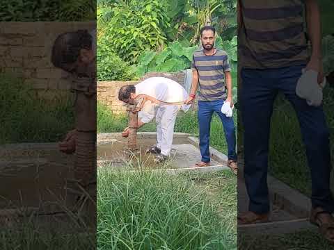 #prashantkishore #news #jansuraaj #bhojpuri #viksitvlog jansurajvlog