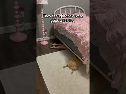 Where are they?