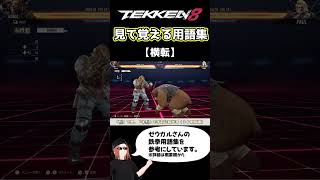 【鉄拳8】見て覚える用語集【横転】