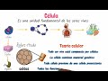 Células y Organelos en Biología